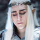 Illustration for article titled Not Sure If Cosplayer Or Actual Elven King